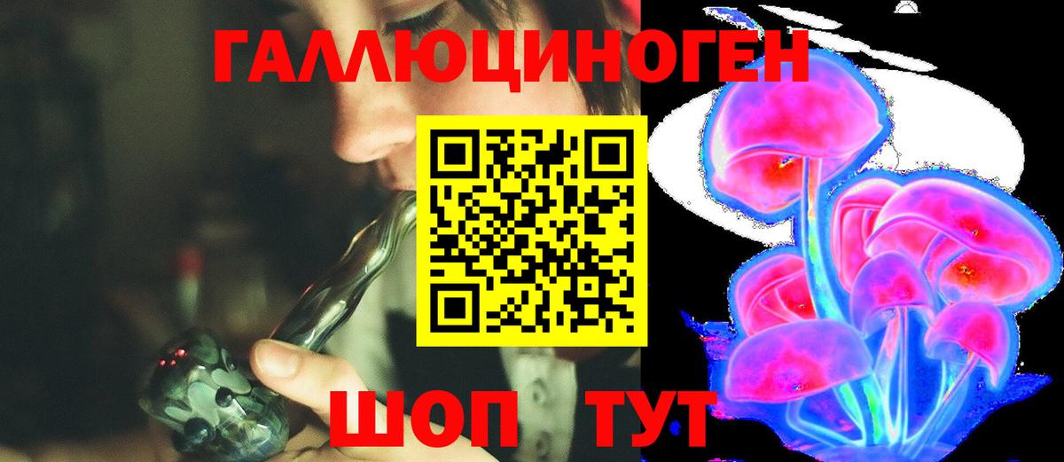 где найти   Вход с VPN  Орск  Галлюциногенные грибы мухоморы  Галлюциногенные грибы GOLDEN TEACHER 